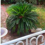 Un Giardino A Due Passi Dal Mare Apartament *