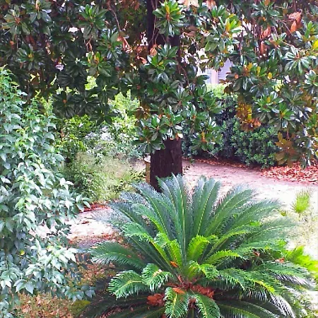 Un Giardino A Due Passi Dal Mare Lejlighed