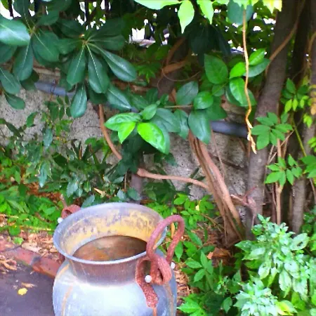 Un Giardino A Due Passi Dal Mare Apartament *