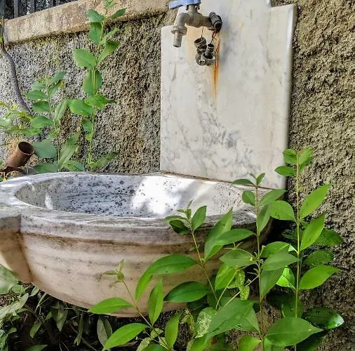 Un Giardino A Due Passi Dal Mare La Spezia